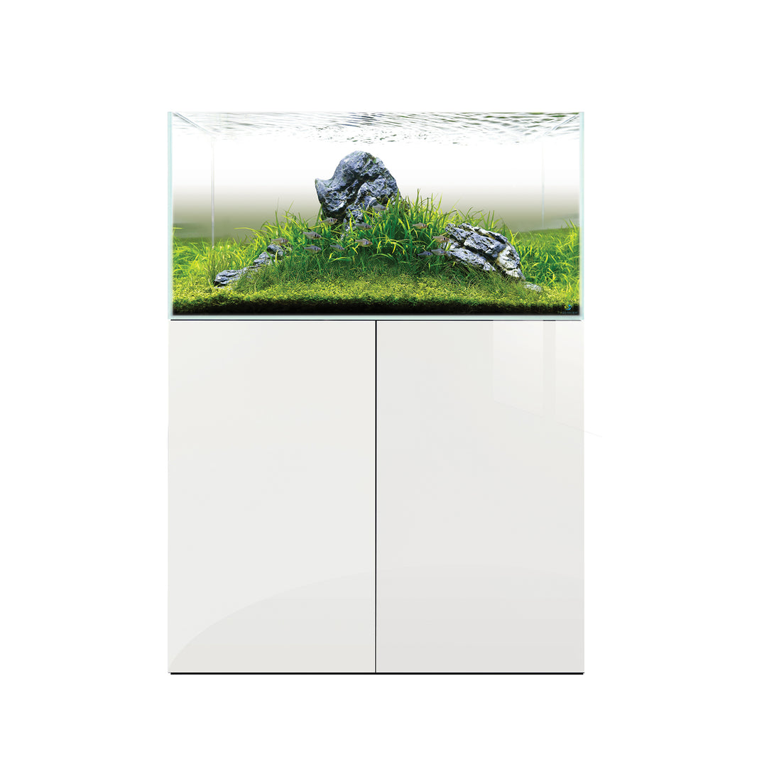 40 Gallon Fish Tanks | Large 40G Aquariums | Aquacadabra