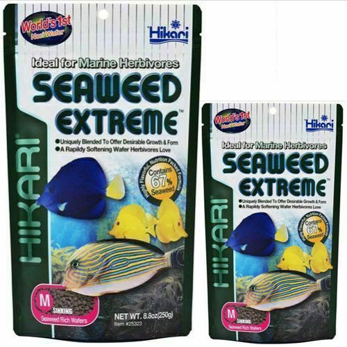 Hikari Seaweed Extreme Pellets