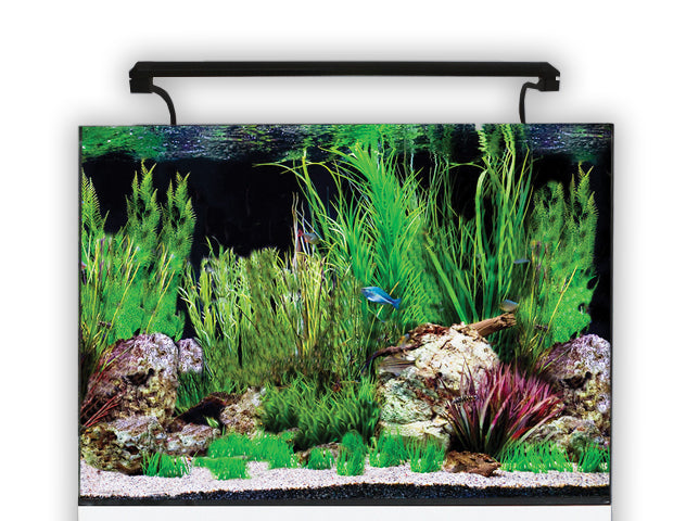 Aqua One AquaNano 60 Aquarium 100L