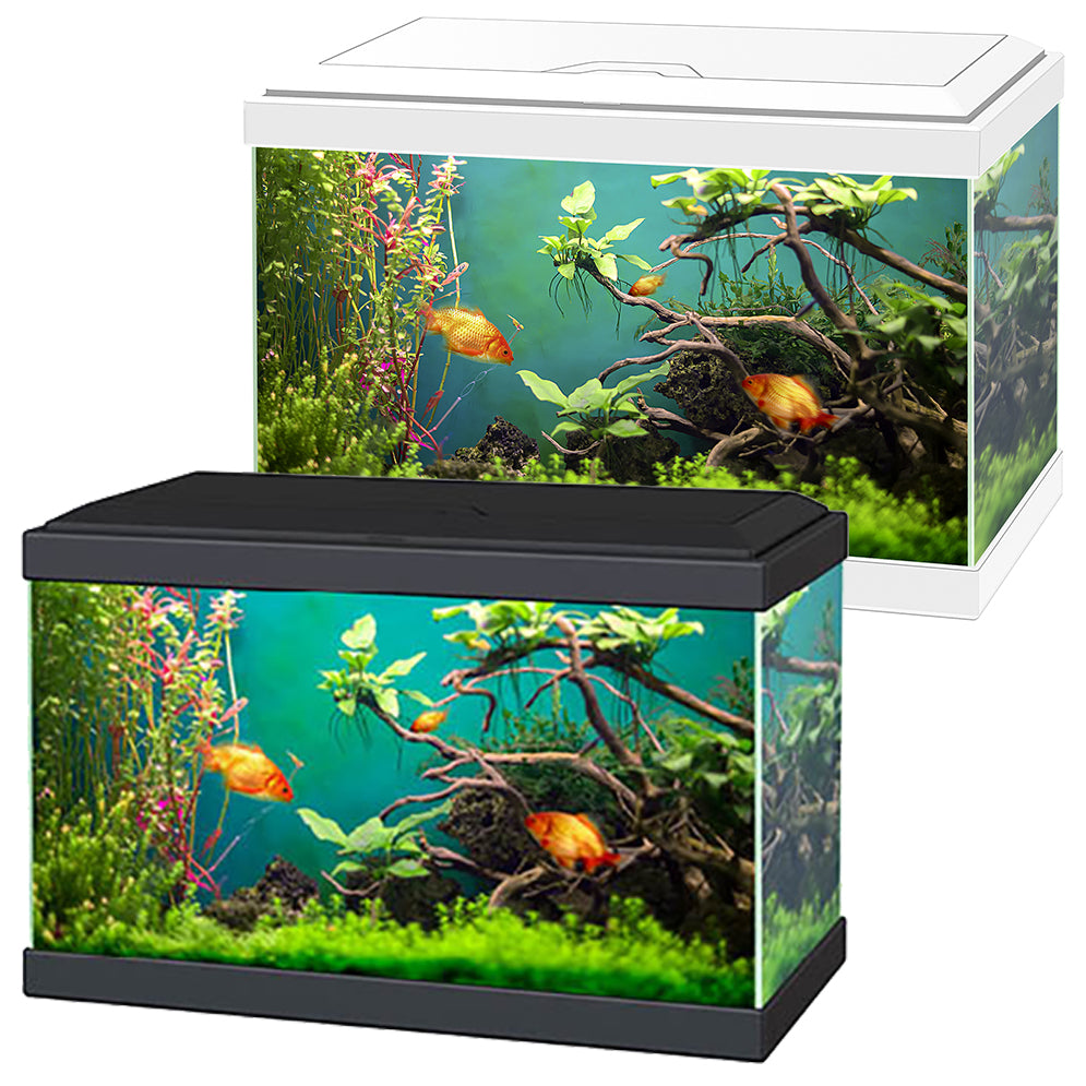 Rectangular Fish Tanks | Square Aquariums | Aquacadabra