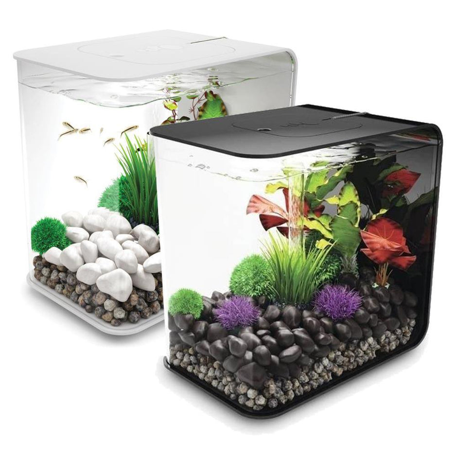 30 Litre Fish Tanks | Small 30L Aquariums | Aquacadabra