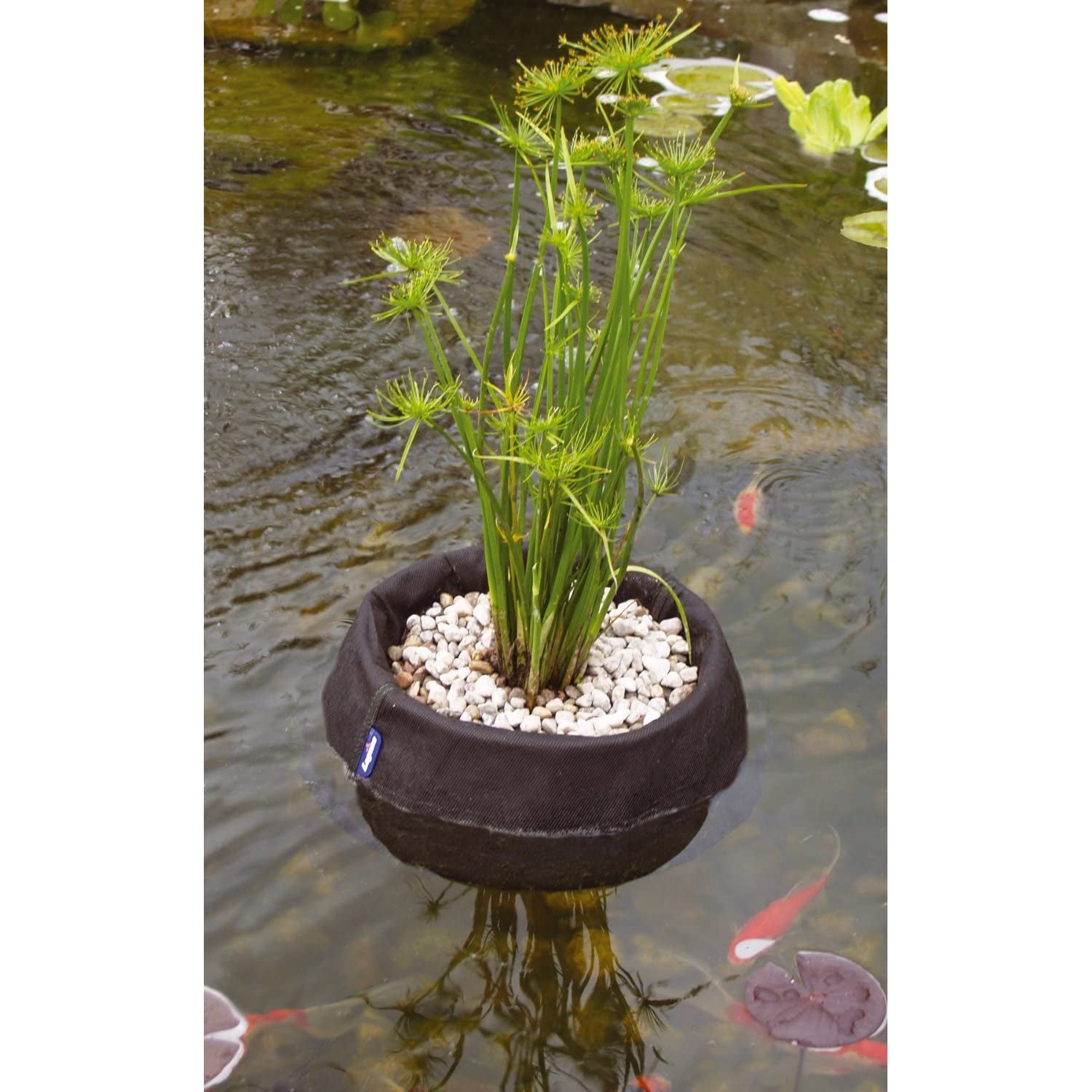 hanging pond plant baskets Laguna 13" Floating Pond Plant Basket