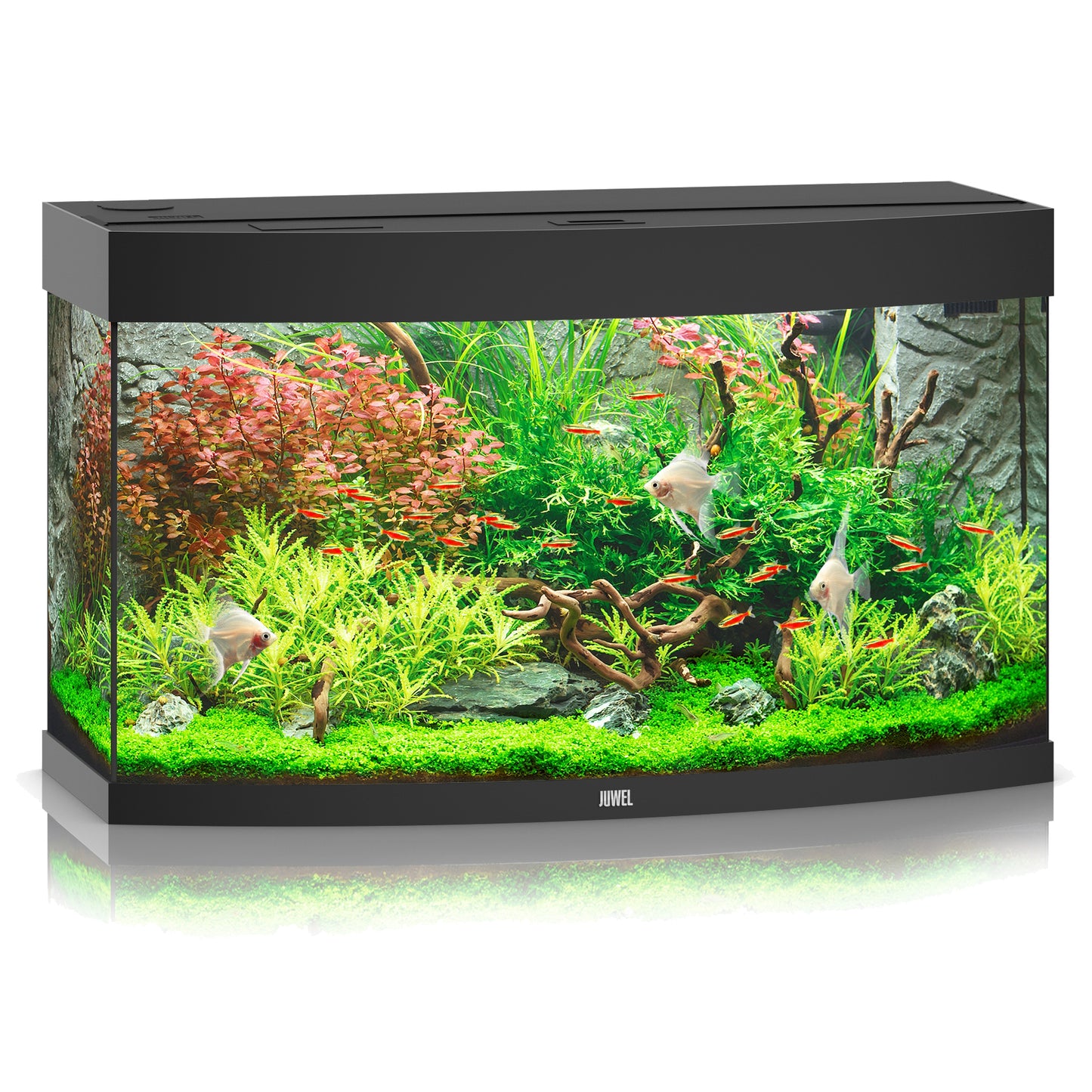 Juwel Vision 180 LED Aquarium Only