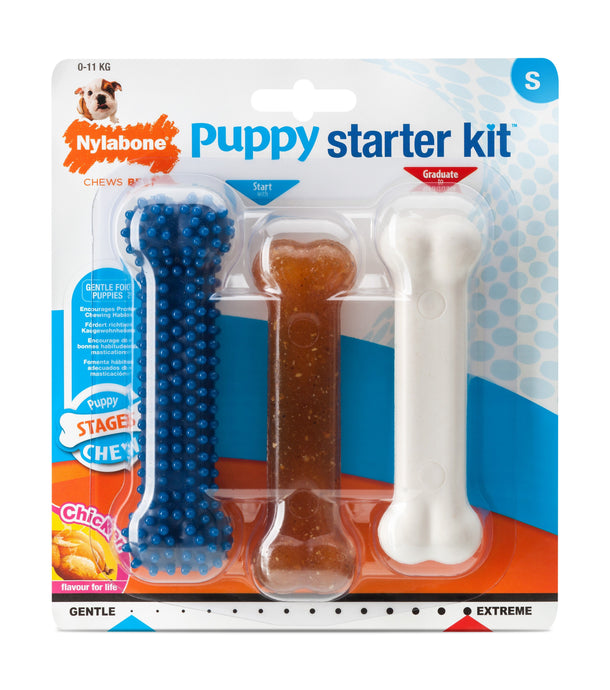 Nylabone Puppy Starter Kit Chew Toy