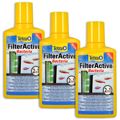 Tetra Filter Active