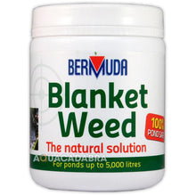 Bermuda BlanketWeed Treatment