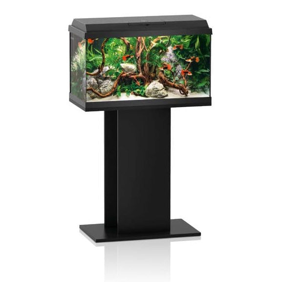 Juwel Primo 60 Black Aquarium